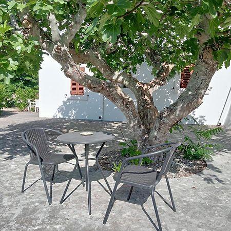 B&B Villa Rosanna Фазано Экстерьер фото